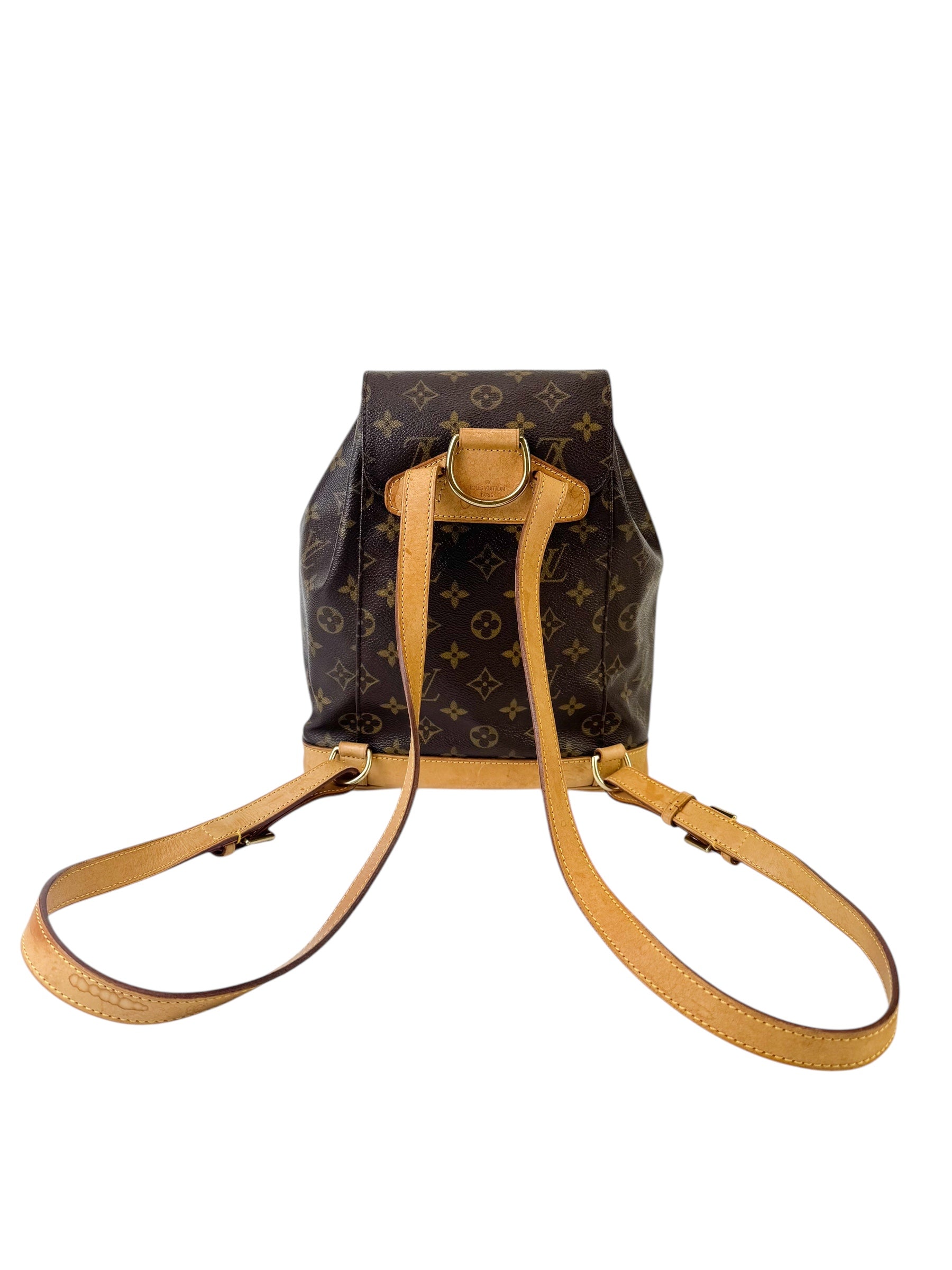 Louis Vuitton Monogram Montsouris Backpack MM